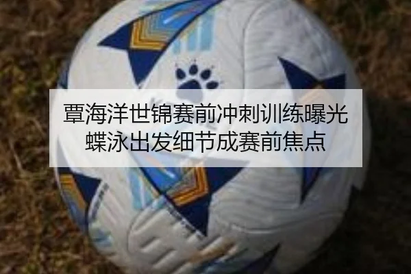 覃海洋世锦赛前冲刺训练曝光 蝶泳出发细节成赛前焦点 - leyu
