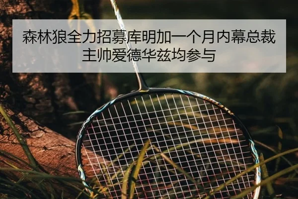 森林狼全力招募库明加一个月内幕总裁主帅爱德华兹均参与 - leyu